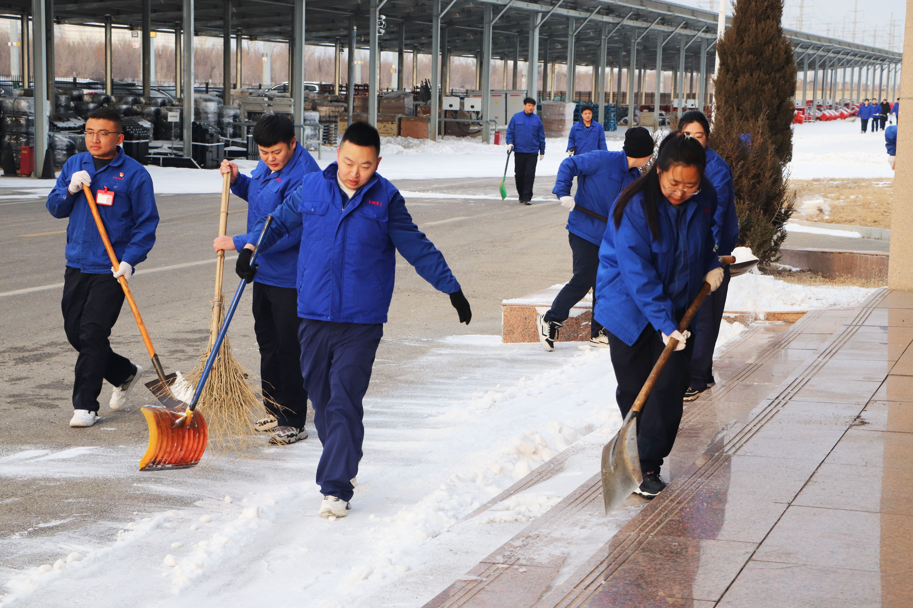 初雪.jpg