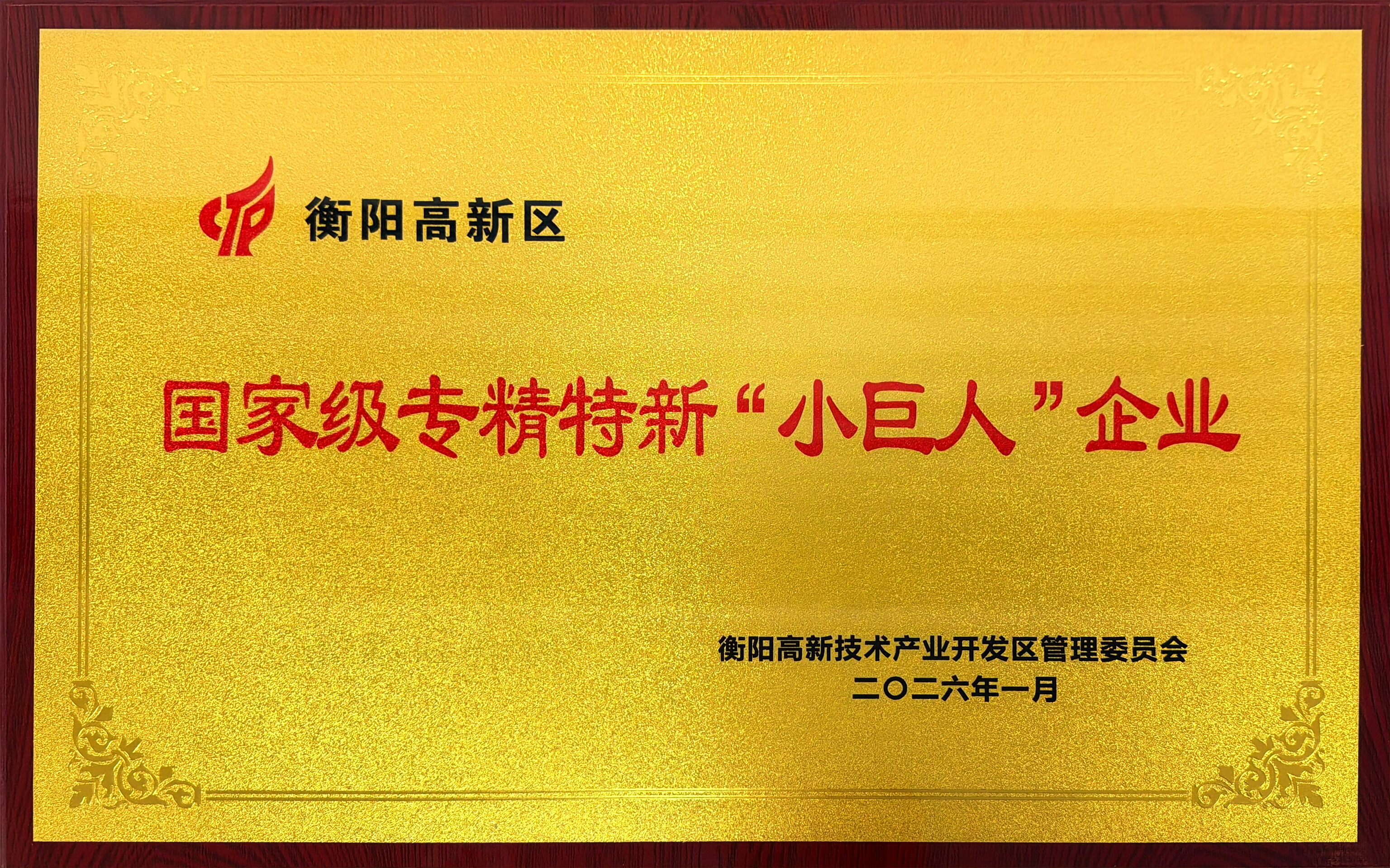 国家小巨人企业牌匾.jpg